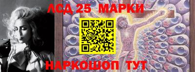 альфа пвп Новодвинск