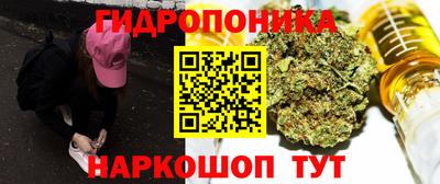 альфа пвп Новодвинск