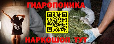 альфа пвп Новодвинск