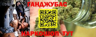 альфа пвп Новодвинск