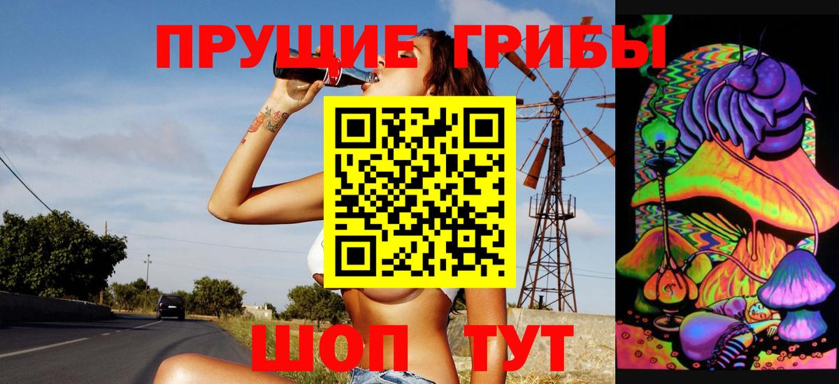 Тихвин  купить   Вход с VPN  Галлюциногенные грибы Psilocybine cubensis 