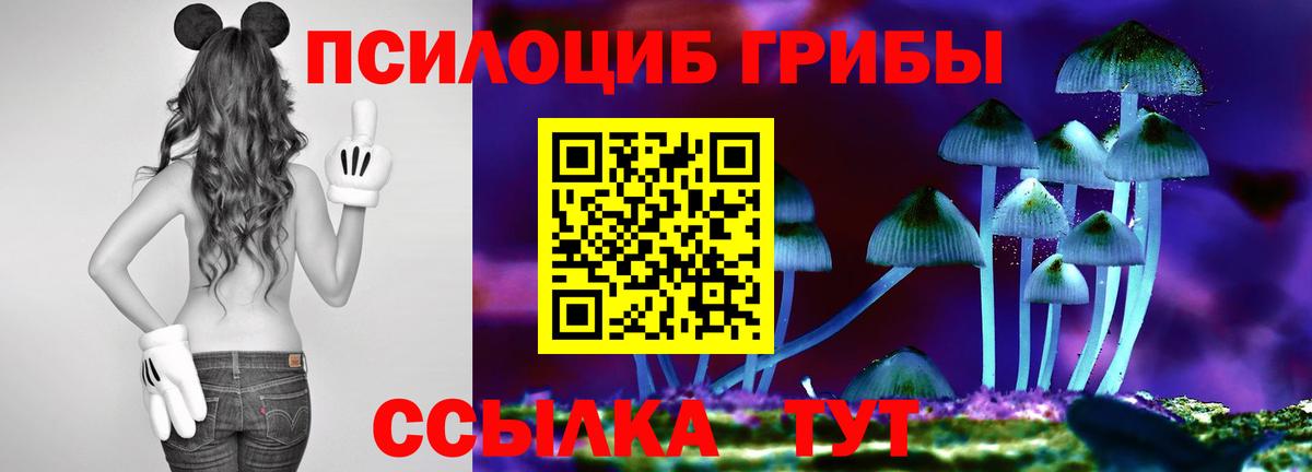 Псилоцибиновые грибы прущие грибы Тихвин